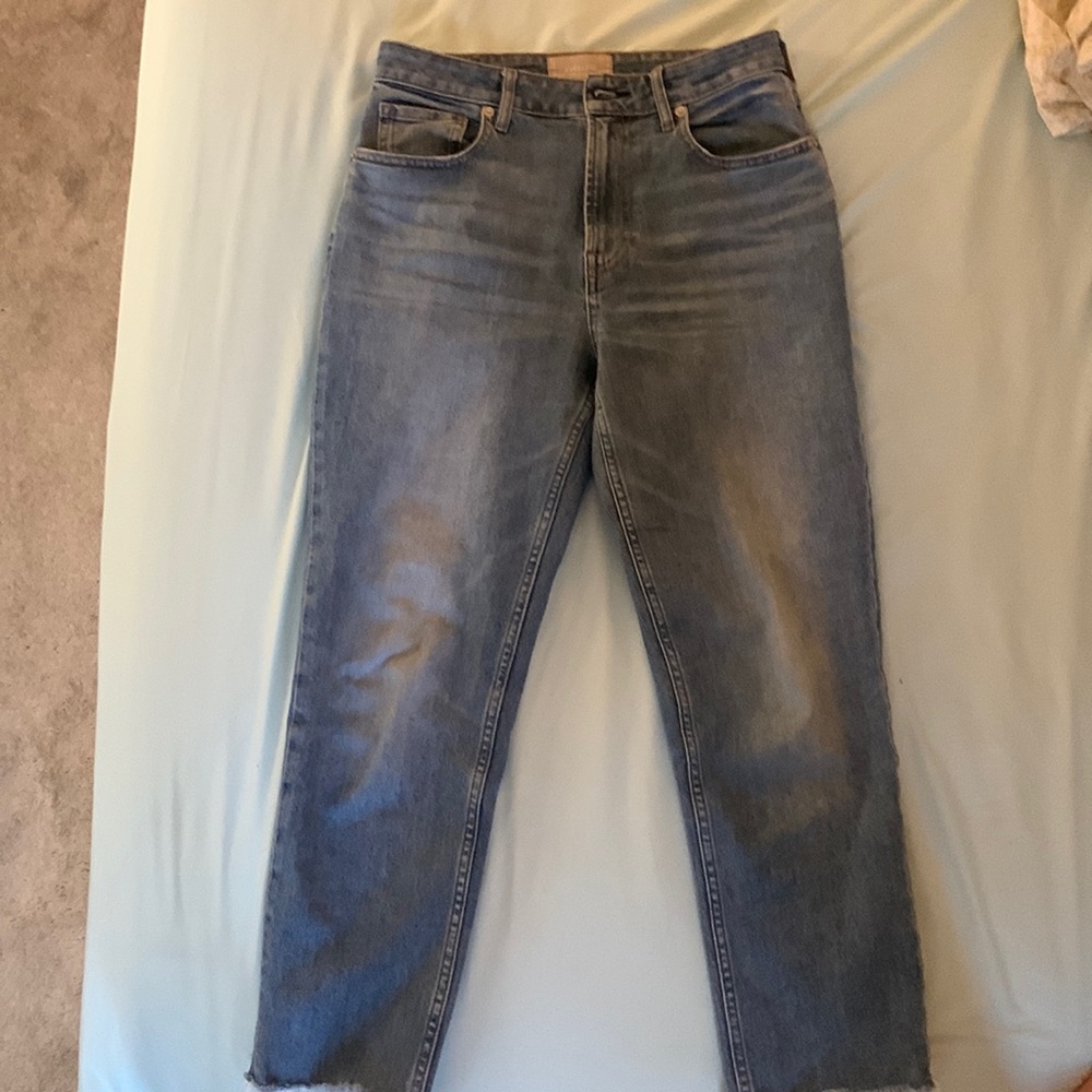 Everlane curvy cheeky jean, ankle size 28
